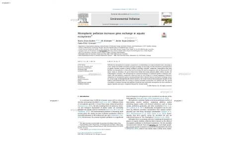 Microplastic pollution increases gene exchange in aquatic ecosystems*